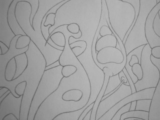 the lines, zoomed in