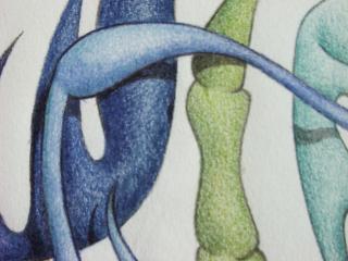 the shades, zoomed in