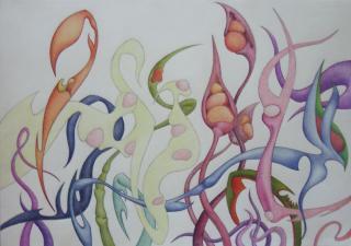 the shapes, full picture