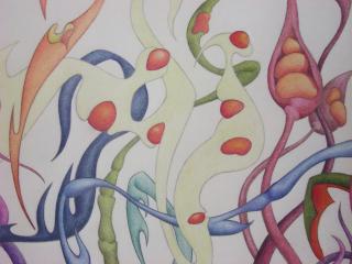 the shapes, zoomed in