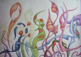 the shapes, full picture